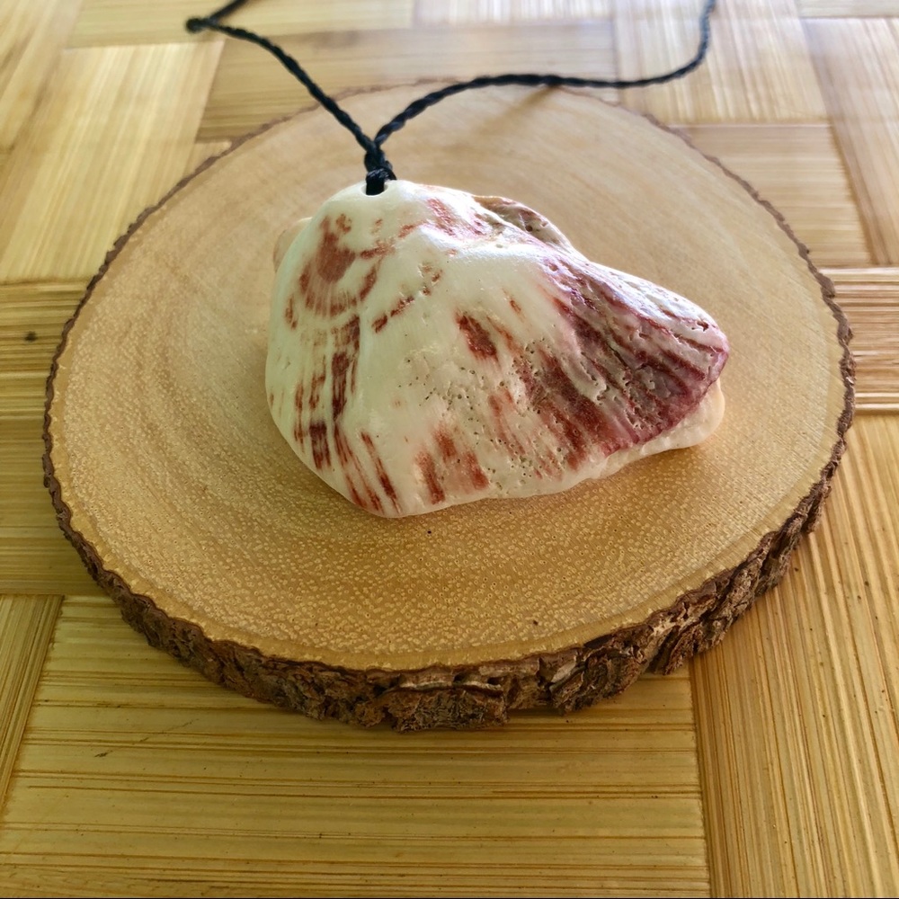 Shell necklace #205